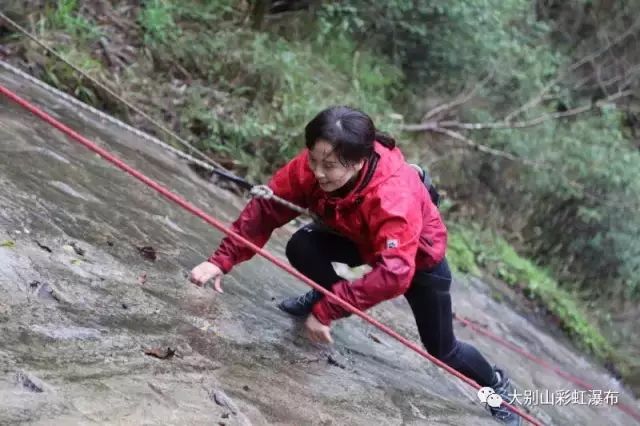 领取夏季福利通知,广大同胞们的夏季福利