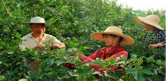 夸夸我的三台！今非昔比古梓州！