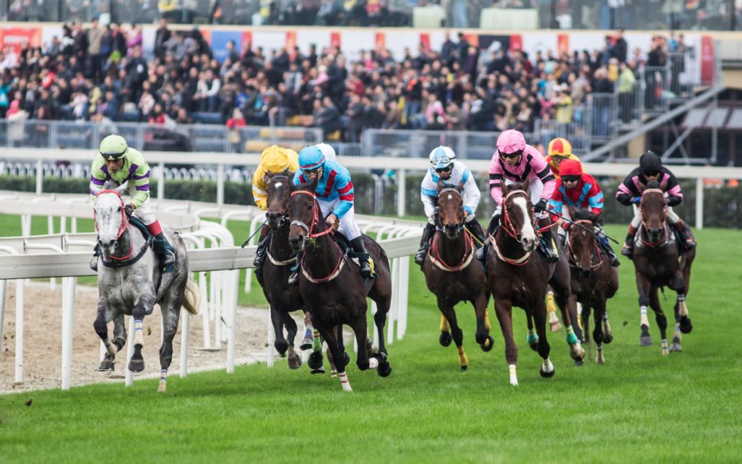璇绘噦12鏃惰景,鍗佷簩鏃惰景鐪嬫噦浜虹敓