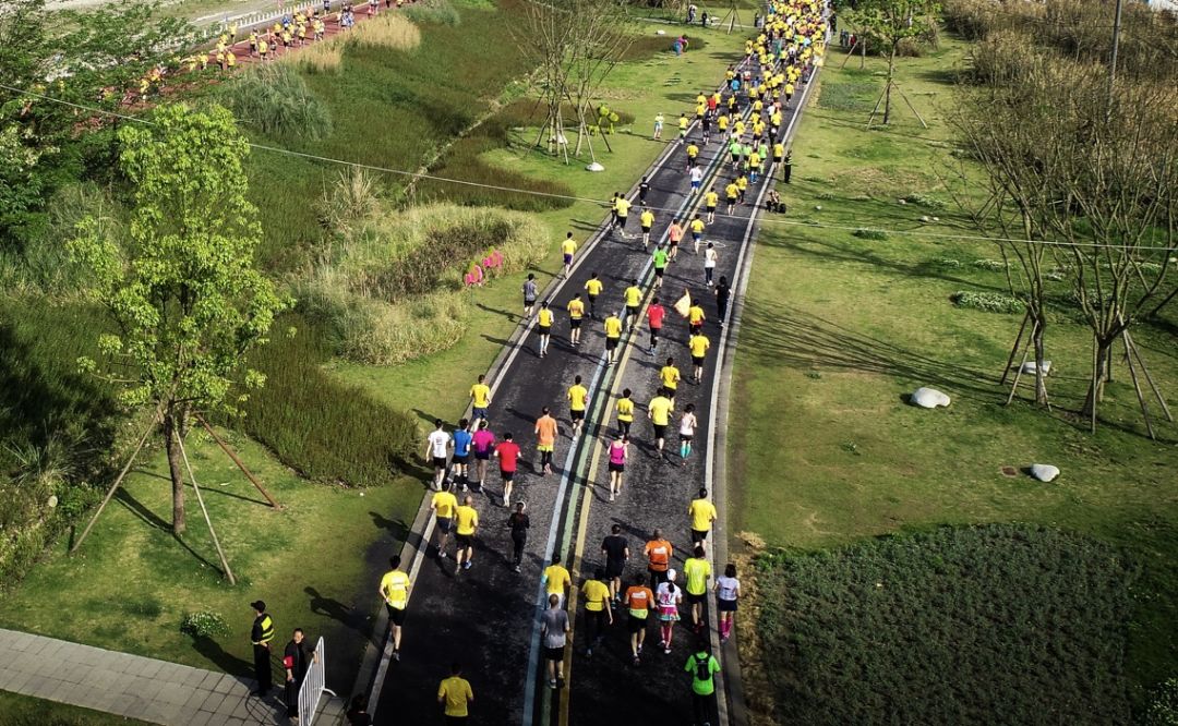 璇绘噦12鏃惰景,鍗佷簩鏃惰景鐪嬫噦浜虹敓