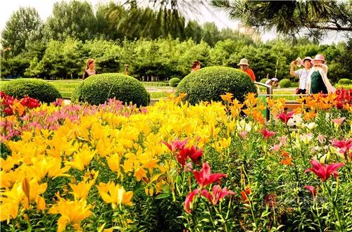 百合花海打卡地,春天长春网红打卡地
