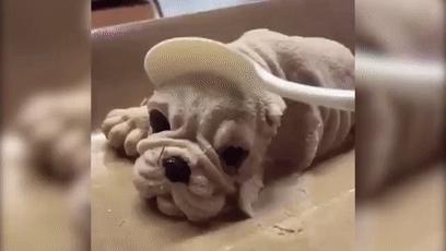 鍏ㄥ浗闆硶浠锋牸,鍏ㄥ浗鐗逛骇闆硶