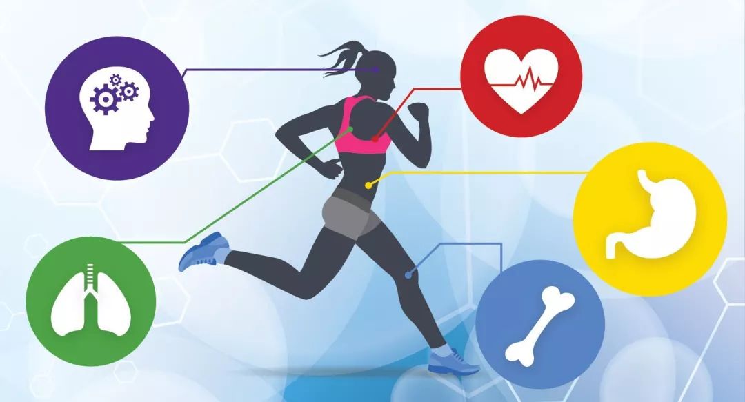 挑战老司机第30关至40关,挑战全网老司机完整版视频