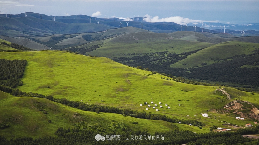 这个夏天来塞罕坝看看吧,坝上草原森林