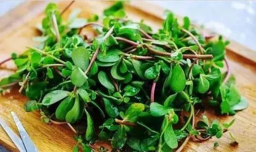 夏季清热解毒菜,夏天清热解毒的食物