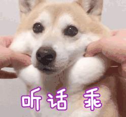 电动车闯红灯为啥是主责不是全责,电动车闯红灯全责的医疗费怎么办