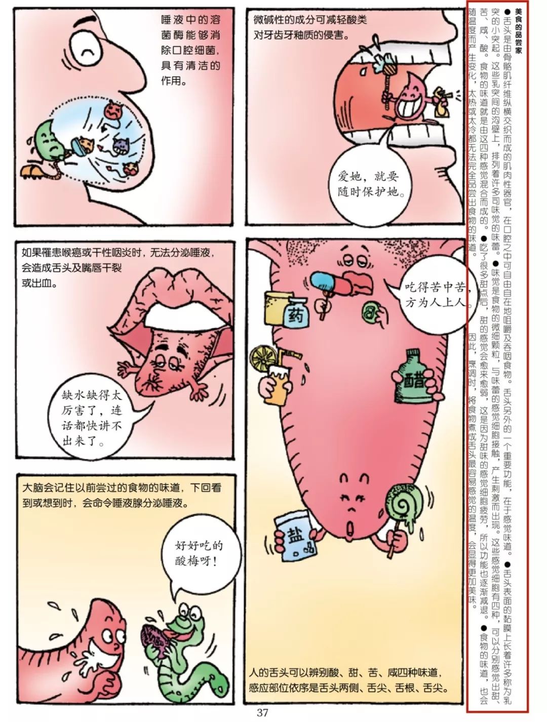 团购预告|《小牛顿成语故事》、AR奇遇地球仪、小度在家1C智能家庭助手