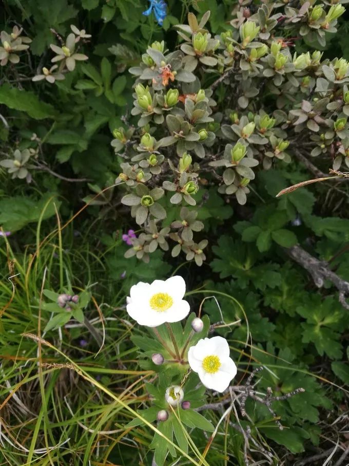 太白山游记大全,太白山漂流一日游日记