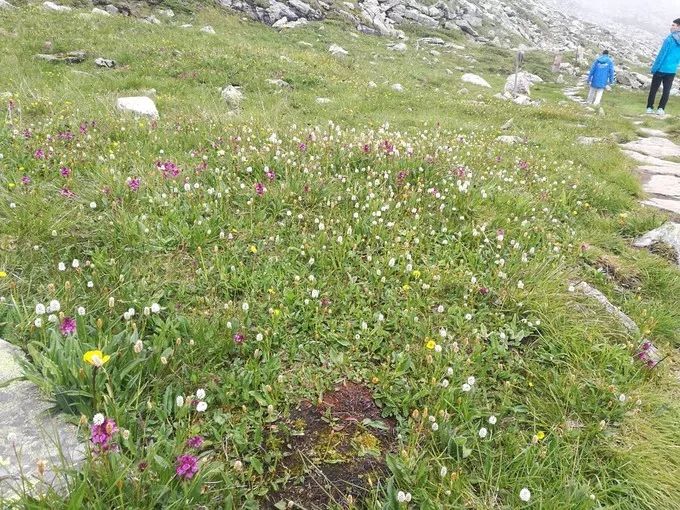 太白山游记大全,太白山漂流一日游日记