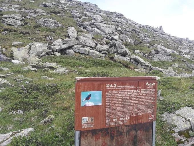 太白山游记大全,太白山漂流一日游日记