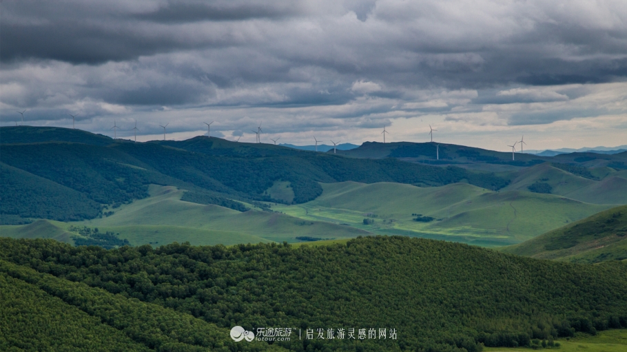 这个夏天来塞罕坝看看吧,坝上草原森林