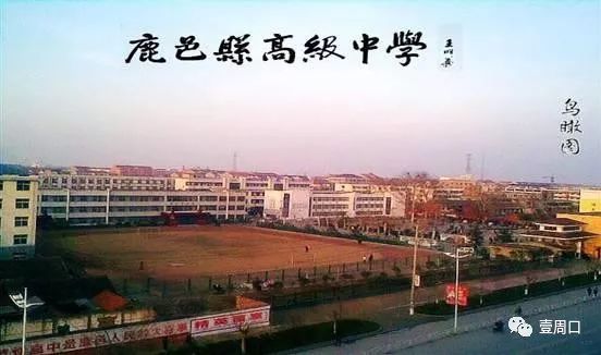 周口重点高中排名一览表,河南省周口市高中排名前十名