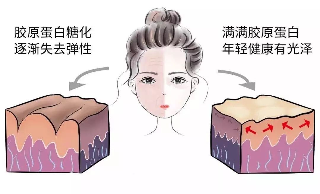 麻范儿好物|日本“吸油圣斗士”，1天1条，7天瘦出小蛮腰！酸酸甜甜，比果冻还好吃