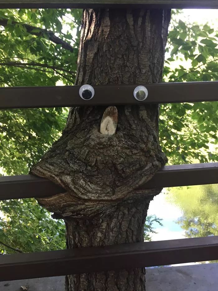 为什么人类无法战胜大自然,人类在大自然面前表现出的勇气