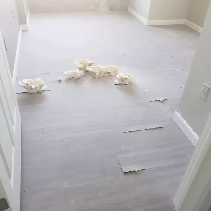 为什么人类无法战胜大自然,人类在大自然面前表现出的勇气