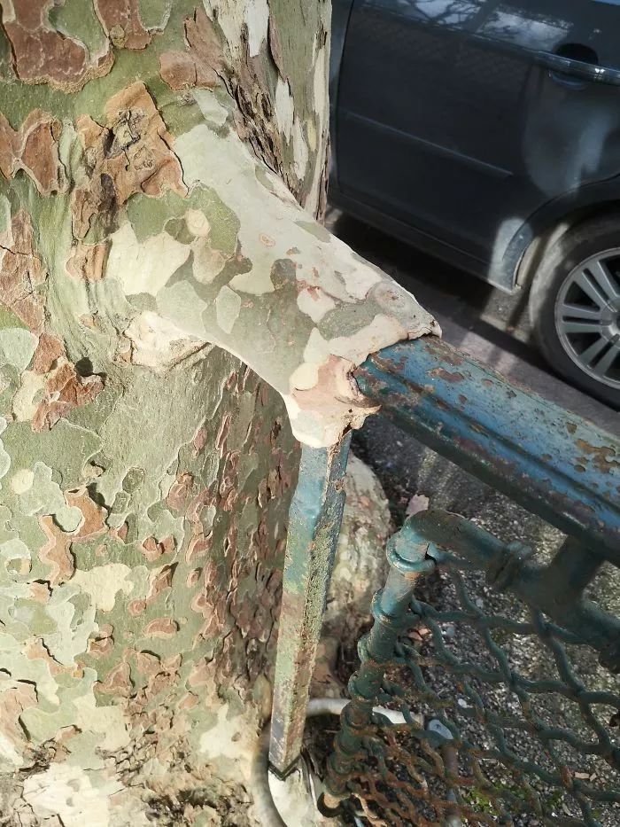 为什么人类无法战胜大自然,人类在大自然面前表现出的勇气