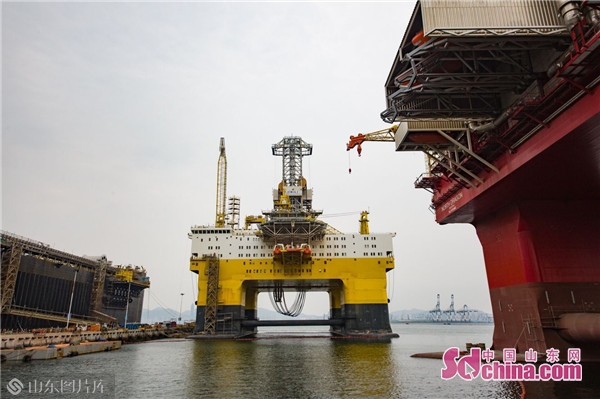 蓝鲸1号高度,40米长巨型蓝鲸