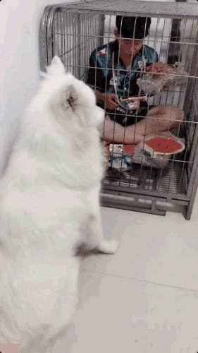 我发现了钢铁直男出轨的细节，结果...太优秀了哈哈哈哈哈哈哈哈哈哈