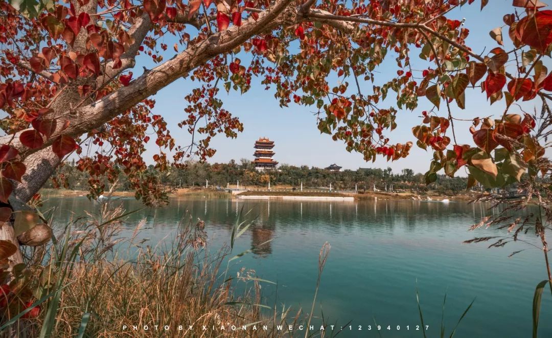 中秋假期好去处郑州 (郑州中秋节演出)