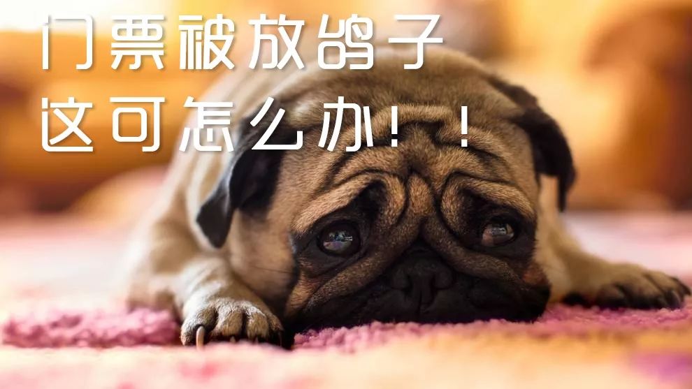 世界杯彩票4000元被兑走,世界杯彩票4000万元被兑走