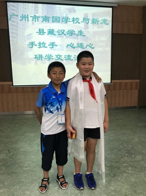 这个暑假不一样初二,这个暑假不一般读书感想