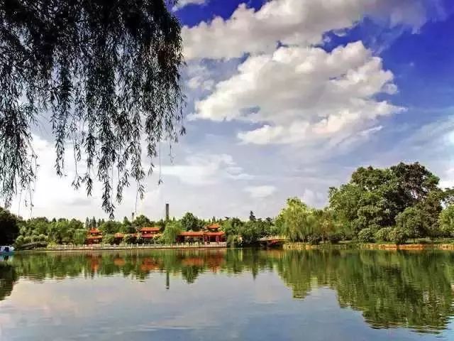 天呐！武汉这个区开挂了！反正我是羡慕了！