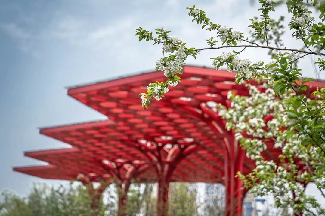 天呐！武汉这个区开挂了！反正我是羡慕了！