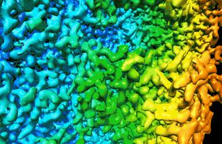 诺如病毒正确消毒方法,北京市诺如病毒高发期