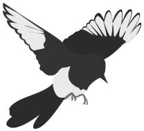 盐湖城总决赛2019,区运会足球比赛决赛