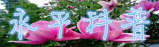 中毒急救速查,药物中毒的家庭急救科普视频