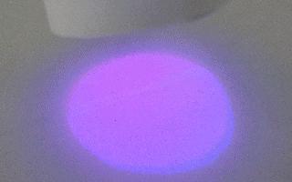 灯！等灯等灯......|正经玩