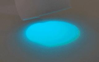 灯！等灯等灯......|正经玩