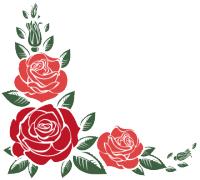 八一特辑不忘历史才勇往直前,八一特辑退伍