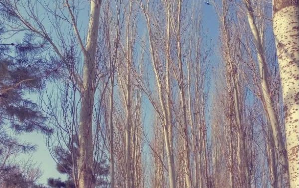 为什么作家喜欢读书,为什么作家喜欢写土地