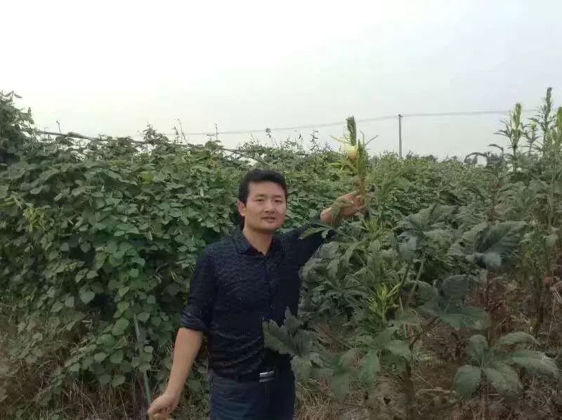 2019年华师一学生获得奖学金名单,2018年全国大学生自强之星名单