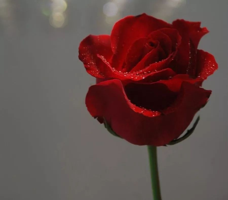 经常生气有多严重教你三招化解,生气如何调理预防疾病