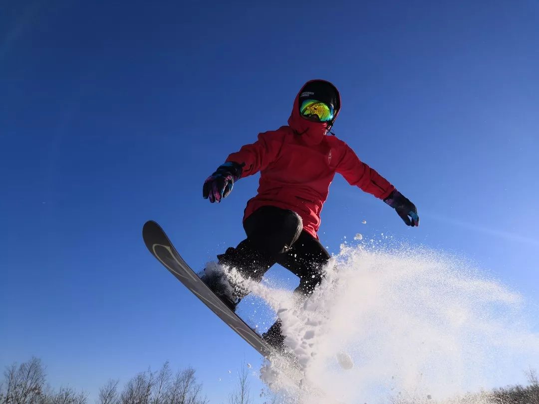 呼伦贝尔学院2024年招生简章,2023呼伦贝尔学院招生