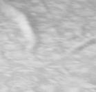 影会抢先看|「DIPE—画廊博览会」Sophoto摄影画廊：海外艺术留学生作品展《时·差》