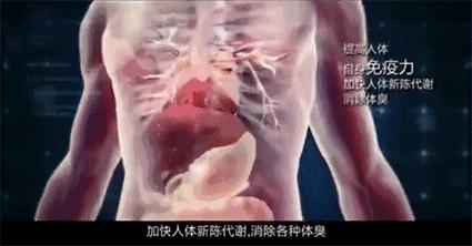 湿气重做什么动作可以排湿,湿气重的懒人方法