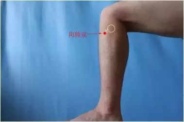 肩周炎讨人嫌，轻轻一灸治疗解烦忧