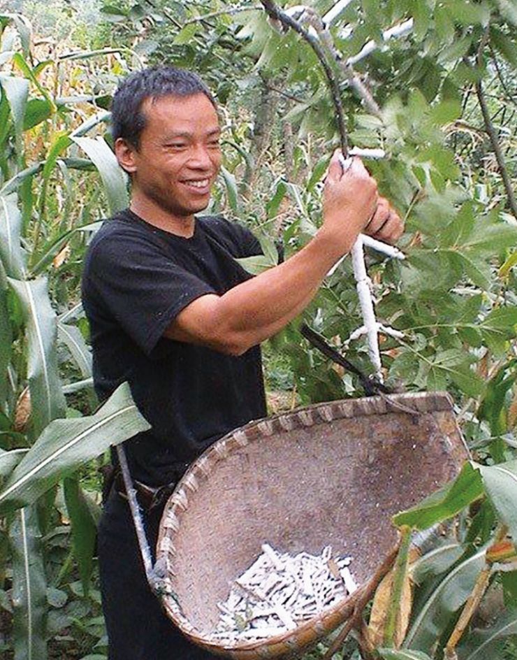 方志四川历史视频大竹篇,方志四川历史文化