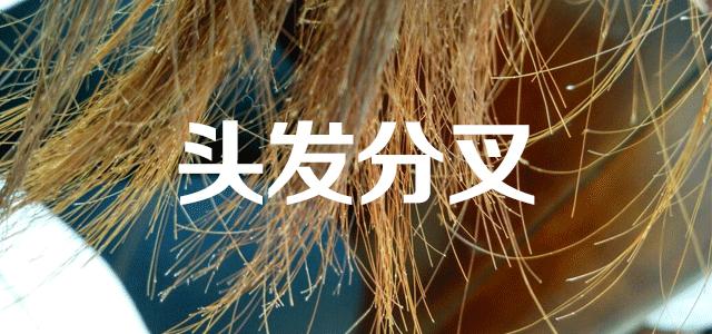 澶村彂娲楁姢濂楄浜у搧鎺ㄨ崘,澶村彂骞叉灟娲楁姢濂楄