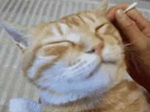 20多岁姑娘耳屎总也掏不尽，结果在耳朵里发现了这东西...