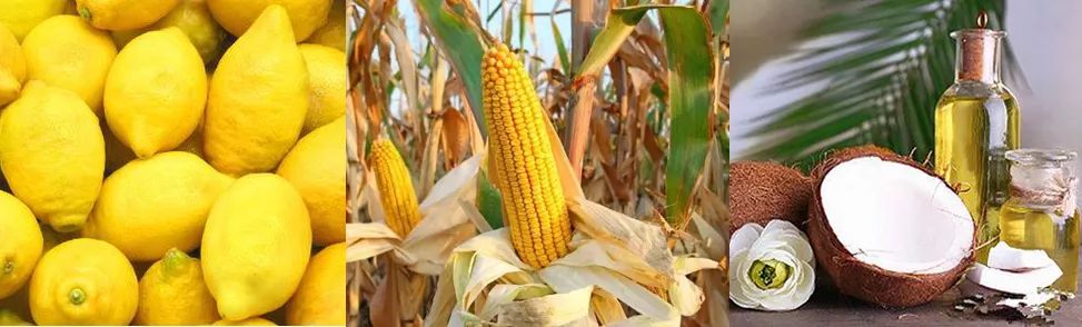 变态德国造！39元能洗净4500只盘子？！欧洲人都”喝它长大...