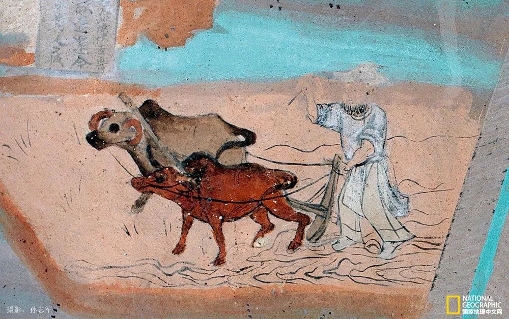 佛教宝库莫高窟千佛洞,敦煌莫高窟边陲明珠艺术宝库