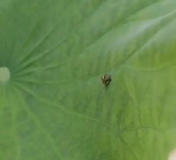 我发现了钢铁直男出轨的细节，结果...太优秀了哈哈哈哈哈哈哈哈哈哈
