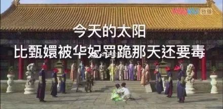 “两眼么擦黑”！还有比夜间春申塘绿地更适合拍鬼片的地方吗？