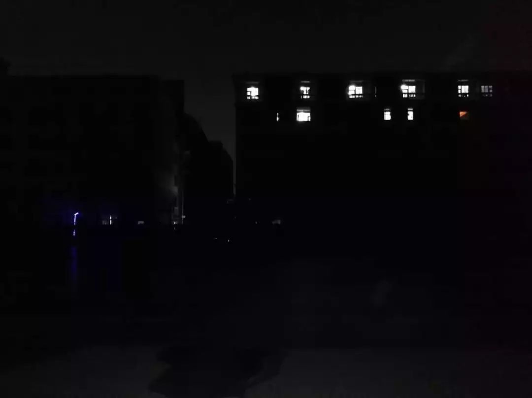 “两眼么擦黑”！还有比夜间春申塘绿地更适合拍鬼片的地方吗？