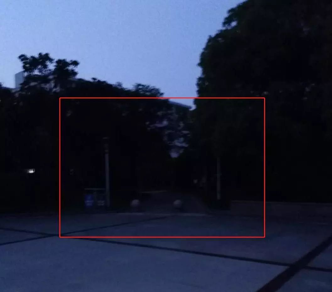 “两眼么擦黑”！还有比夜间春申塘绿地更适合拍鬼片的地方吗？