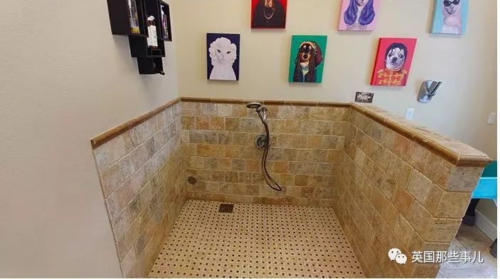 不开心就看看搞笑的视频,不开心不如开心